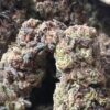 Strawberry Mimosa pics (3) Strawberry Mimosa THCA Flower