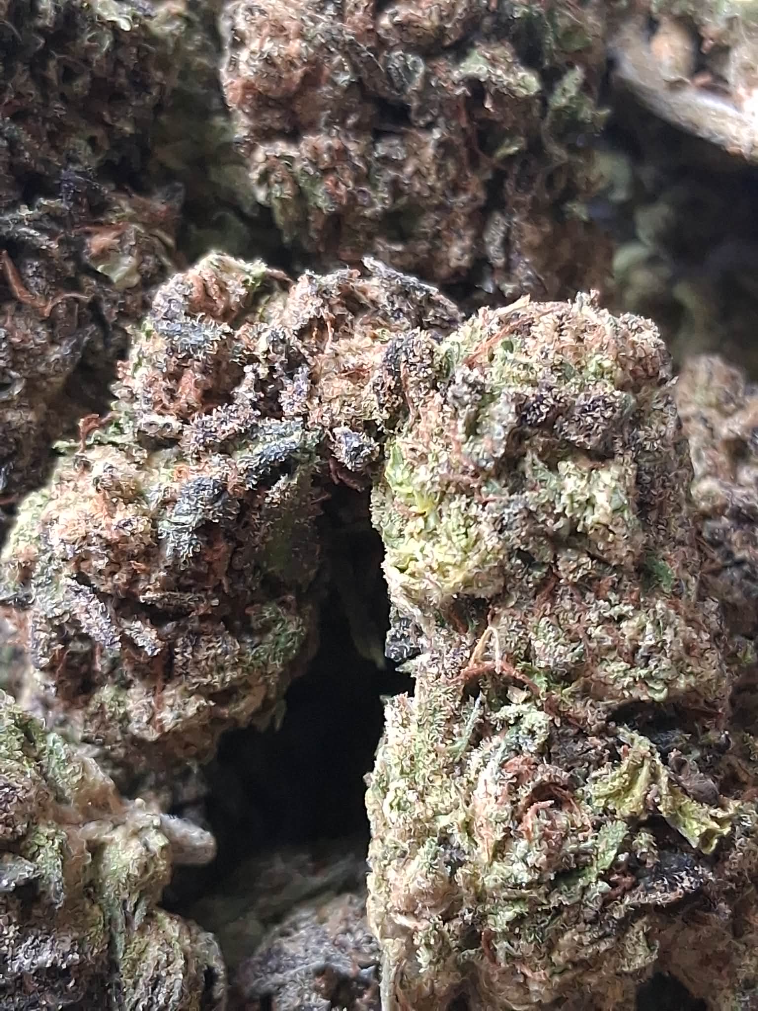 Strawberry Mimosa pics (3) Strawberry Mimosa THCA Flower