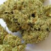 White Widow THCA Flower