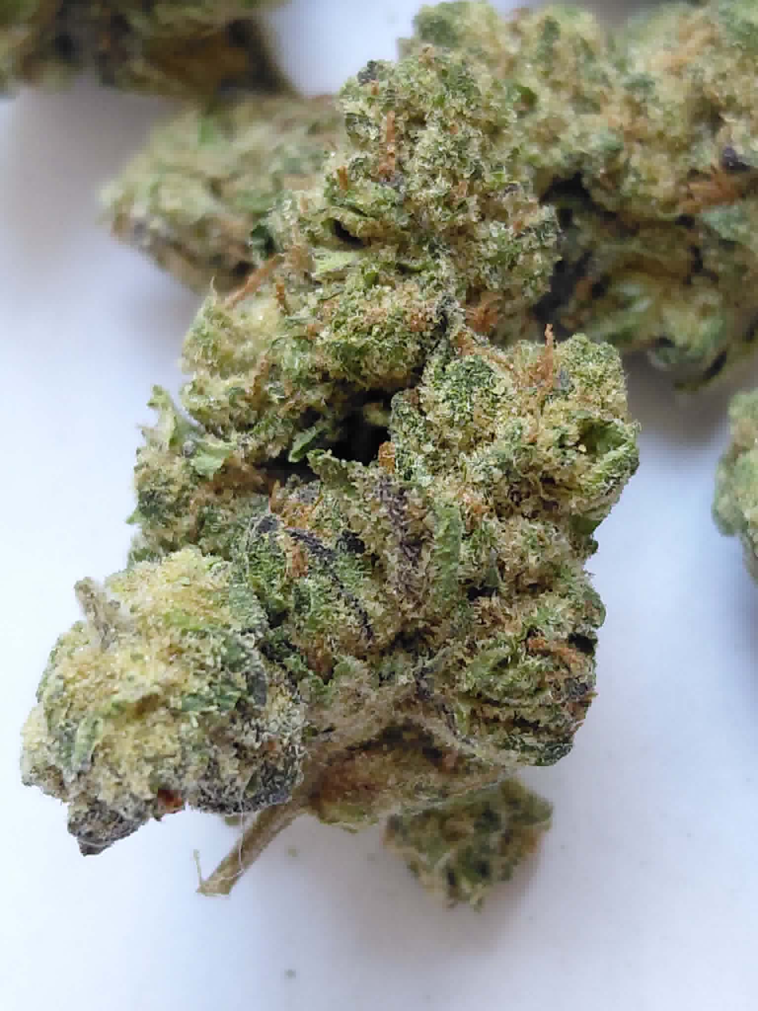 Blue Dream THCA Flower