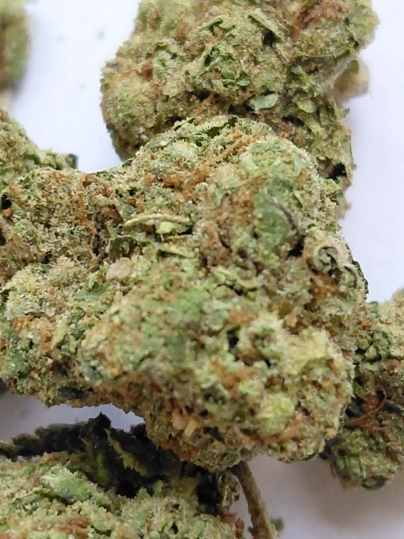 Blue Dream THCA Flower