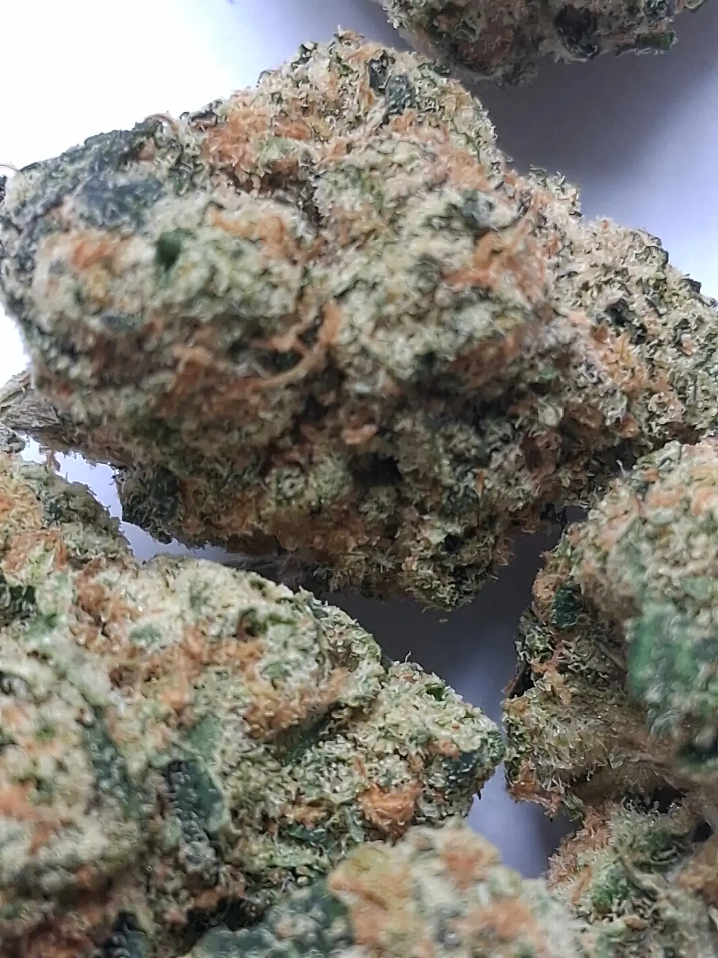 Sour Diesel THCA Flower