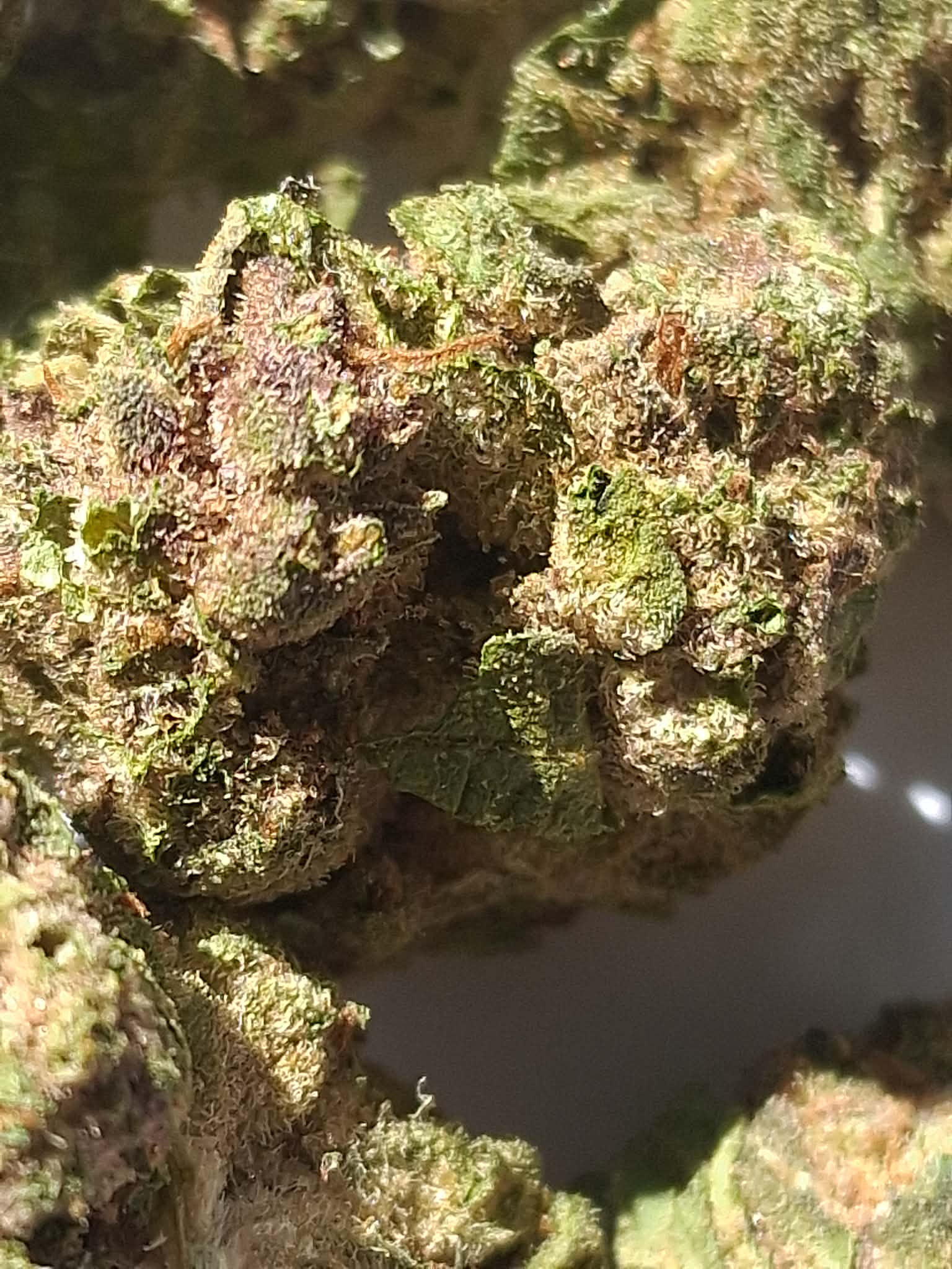 2b276ef7-f4fc-4a37-85cc-3e4428712dfa.webp Trap Cherry THCA Flower