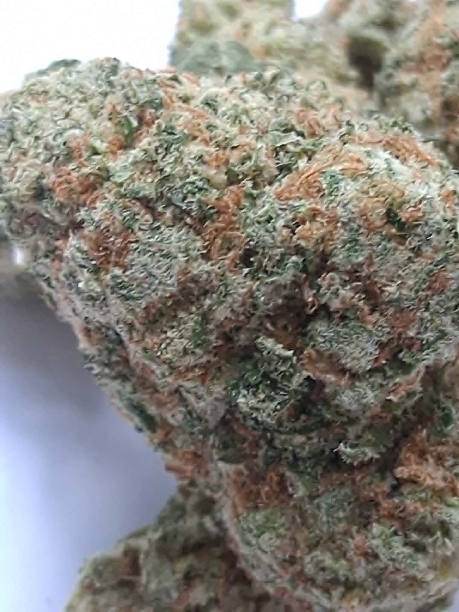 Amnesia-Haze-pics-1.webp Amnesia Haze THCA Flower