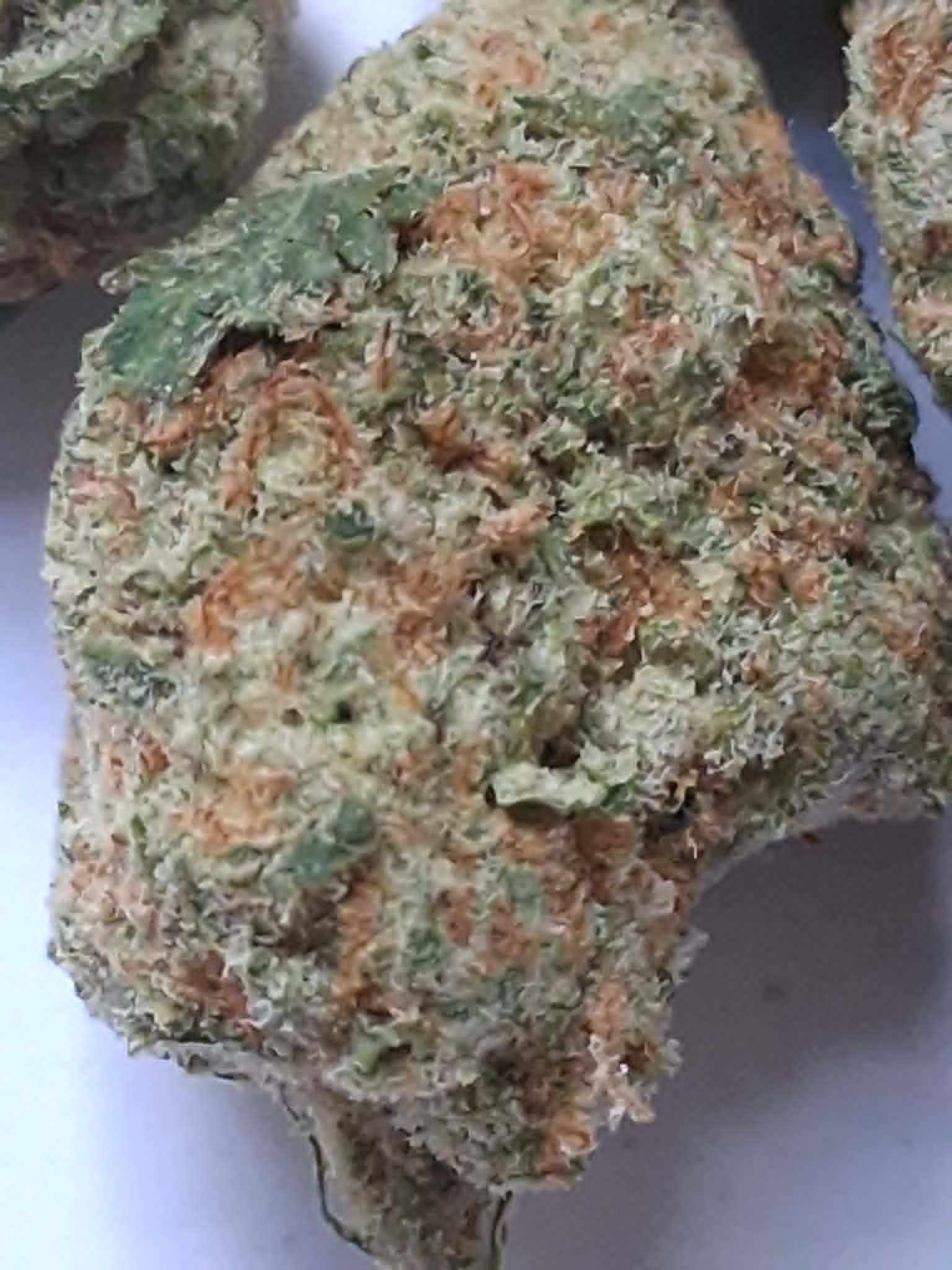 Amnesia Haze pics (3) Amnesia Haze THCA Flower