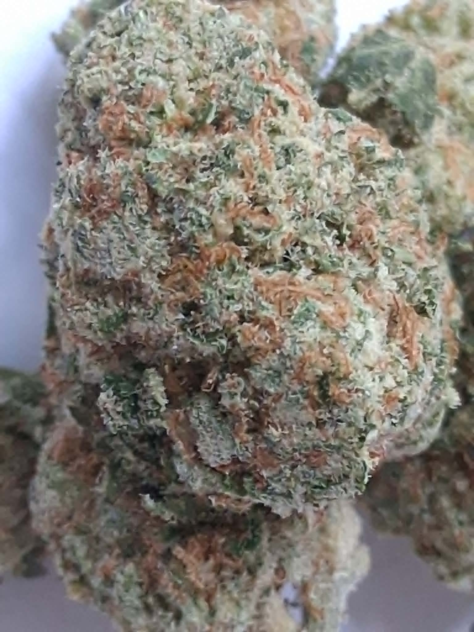 Amnesia-Haze-pics-4.webp Amnesia Haze THCA Flower