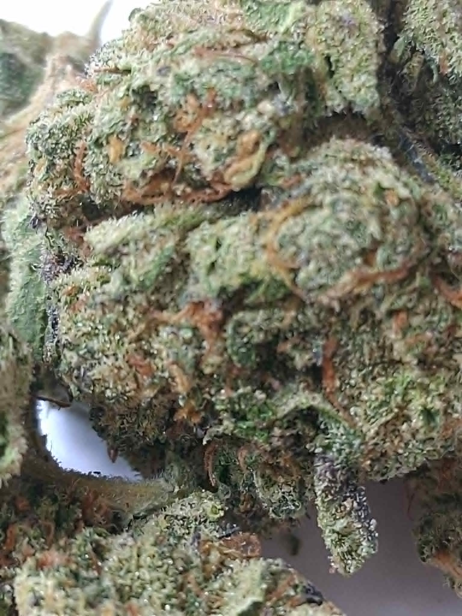 Black-Ice-Pics-1.webp Black Ice THCA Flower