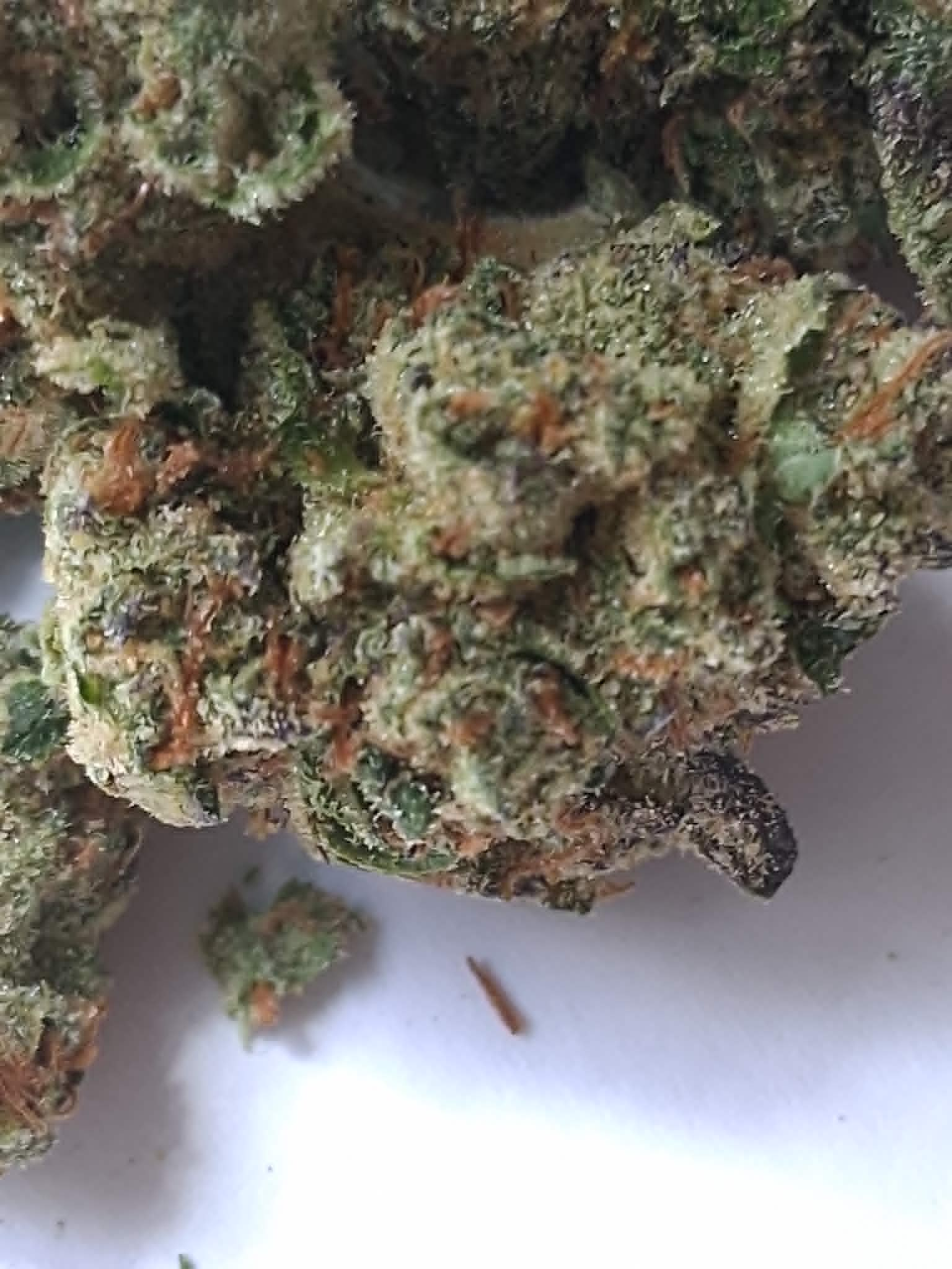 Black Ice Pics (3) Black Ice THCA Flower