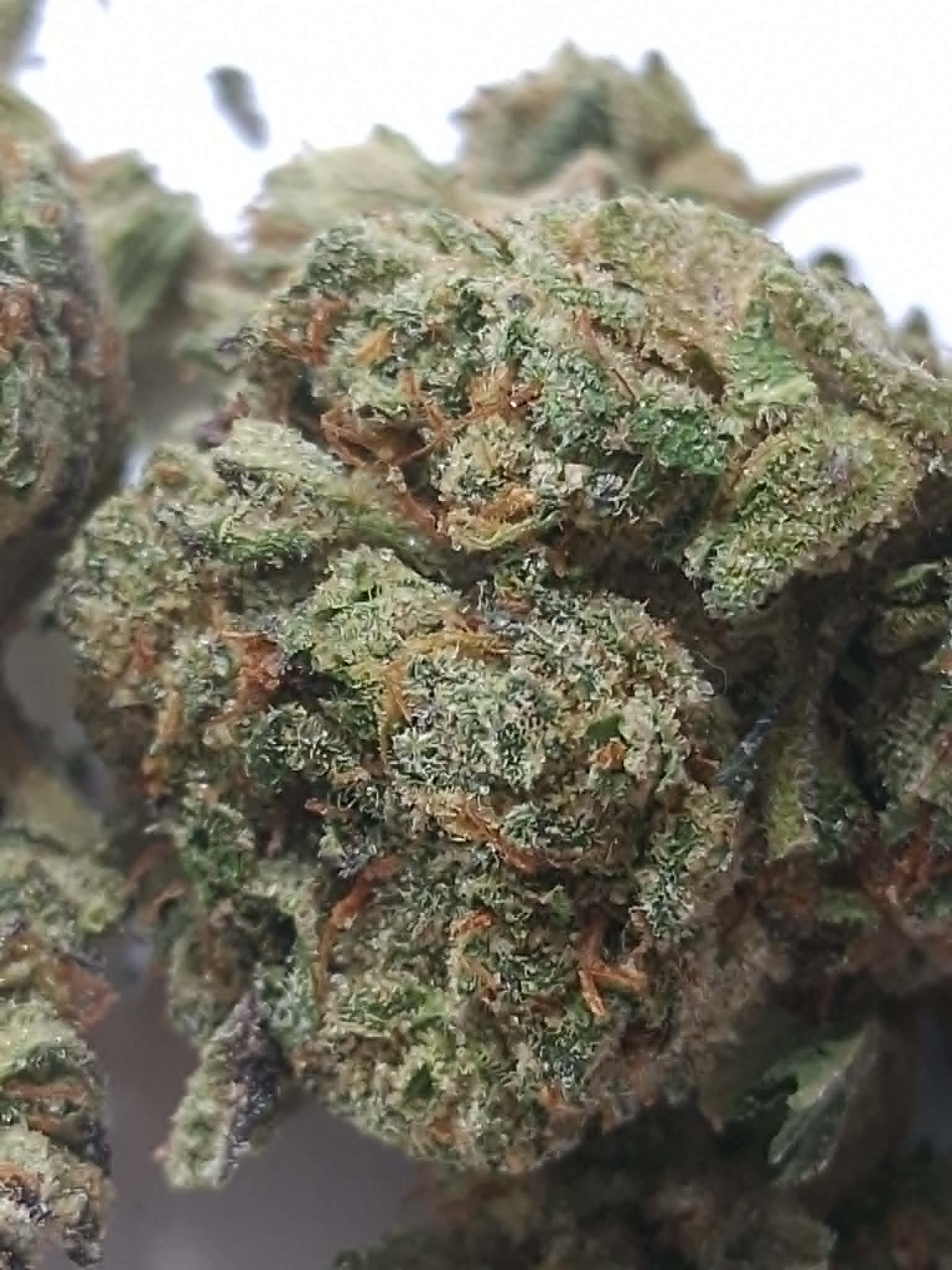 Black-Ice-Pics-5.webp Black Ice THCA Flower