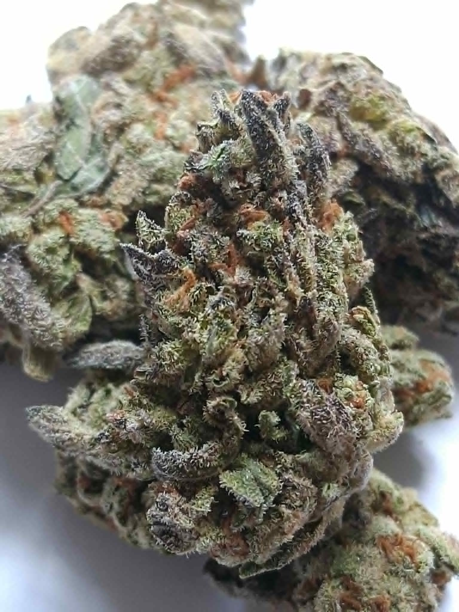 Double-Stuffed-pics-2.webp Double Stuffed THCA Flower