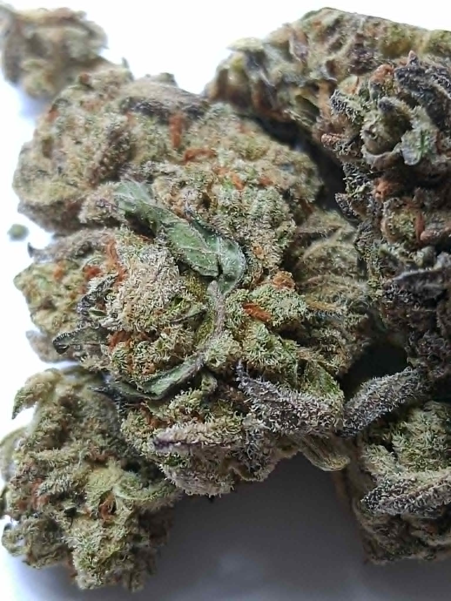 Double-Stuffed-pics-3.webp Double Stuffed THCA Flower