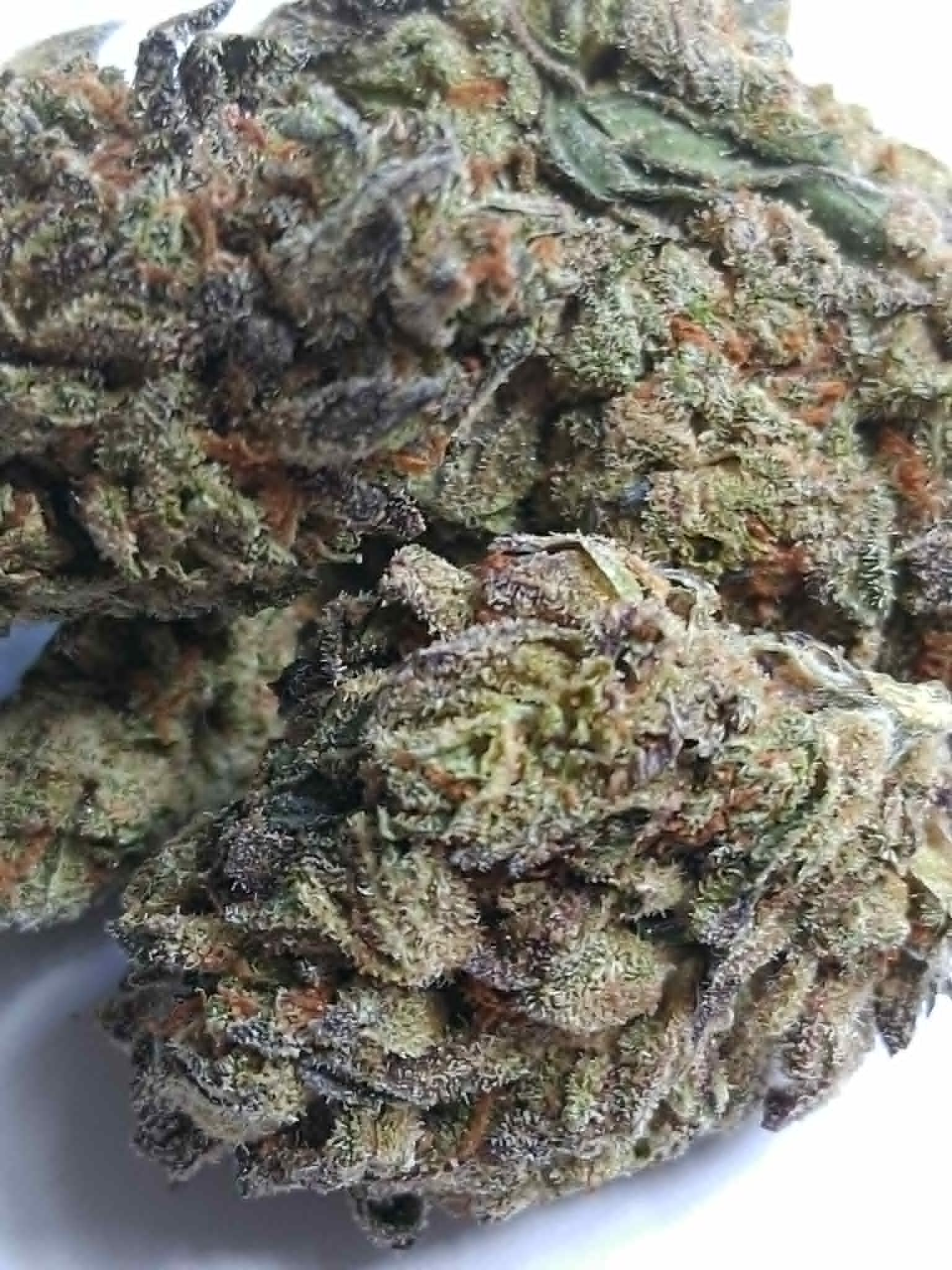 Double Stuffed pics (4) Double Stuffed THCA Flower