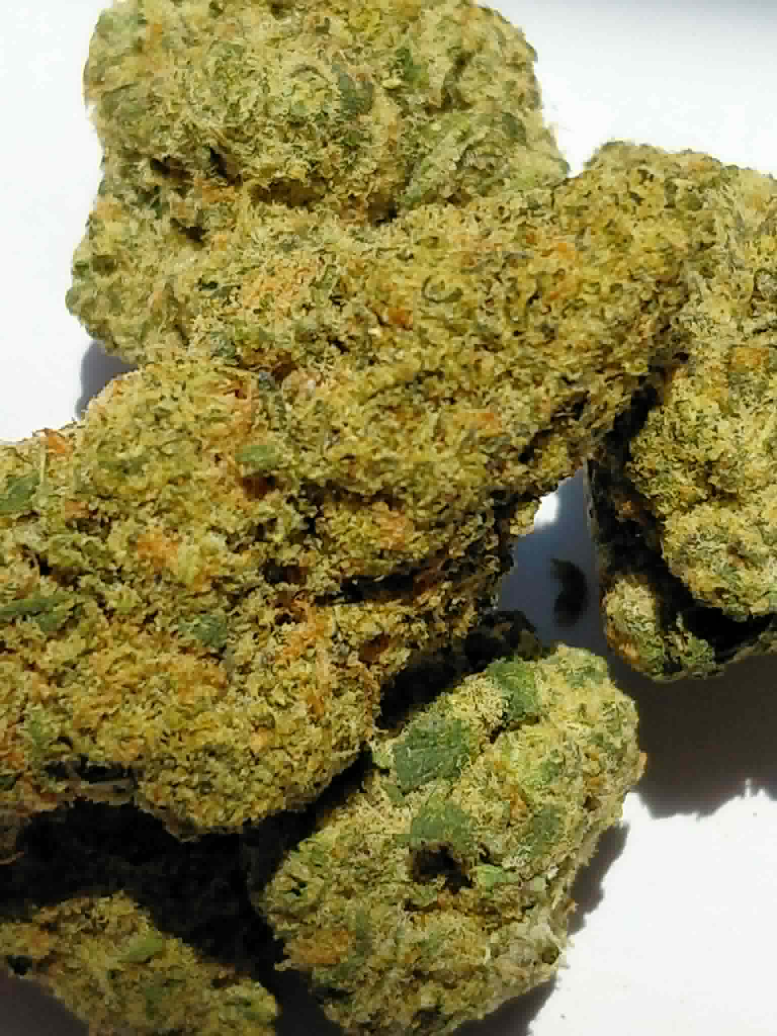 Freakshow THCA Flower