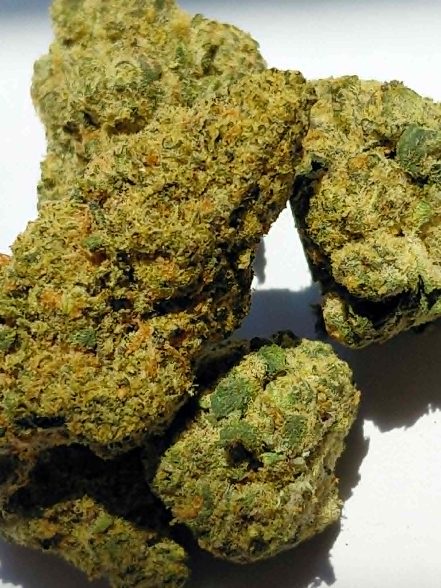 Freakshow THCA Flower