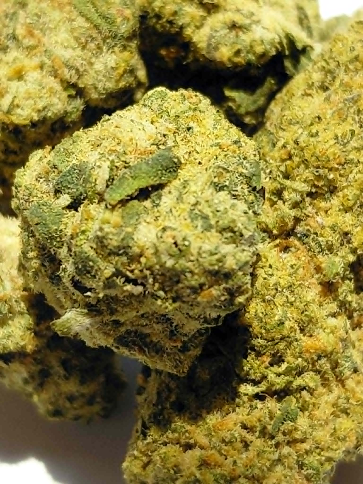Freakshow THCA Flower