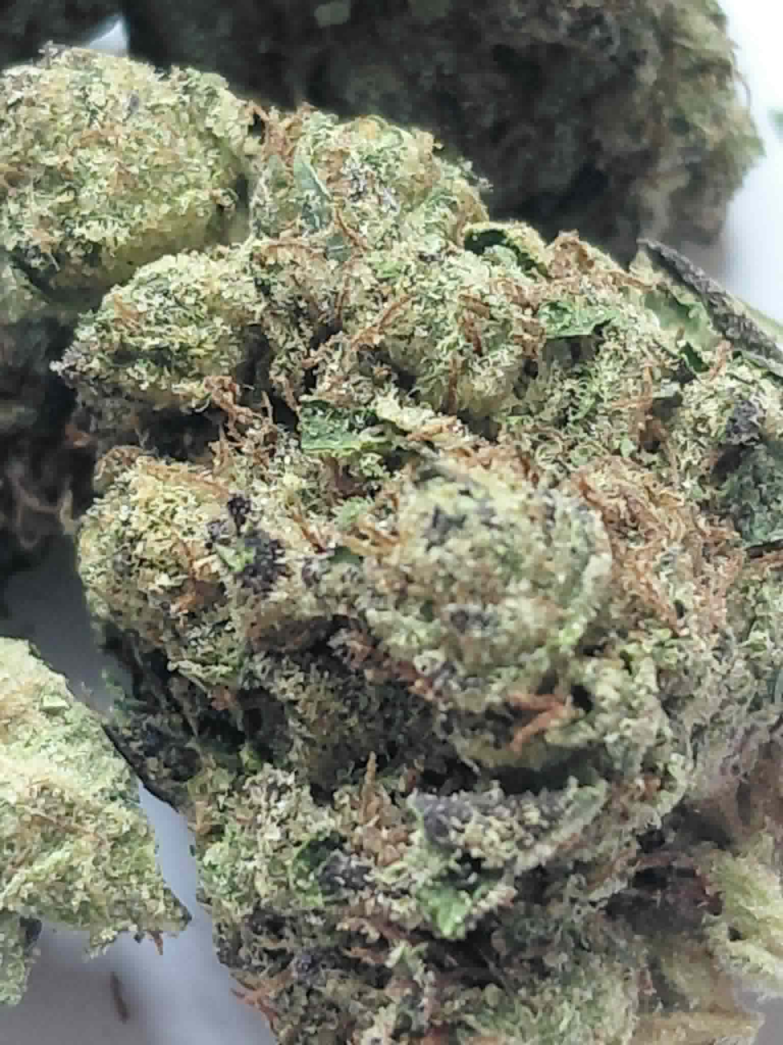 Grape Gelato THCA Flower