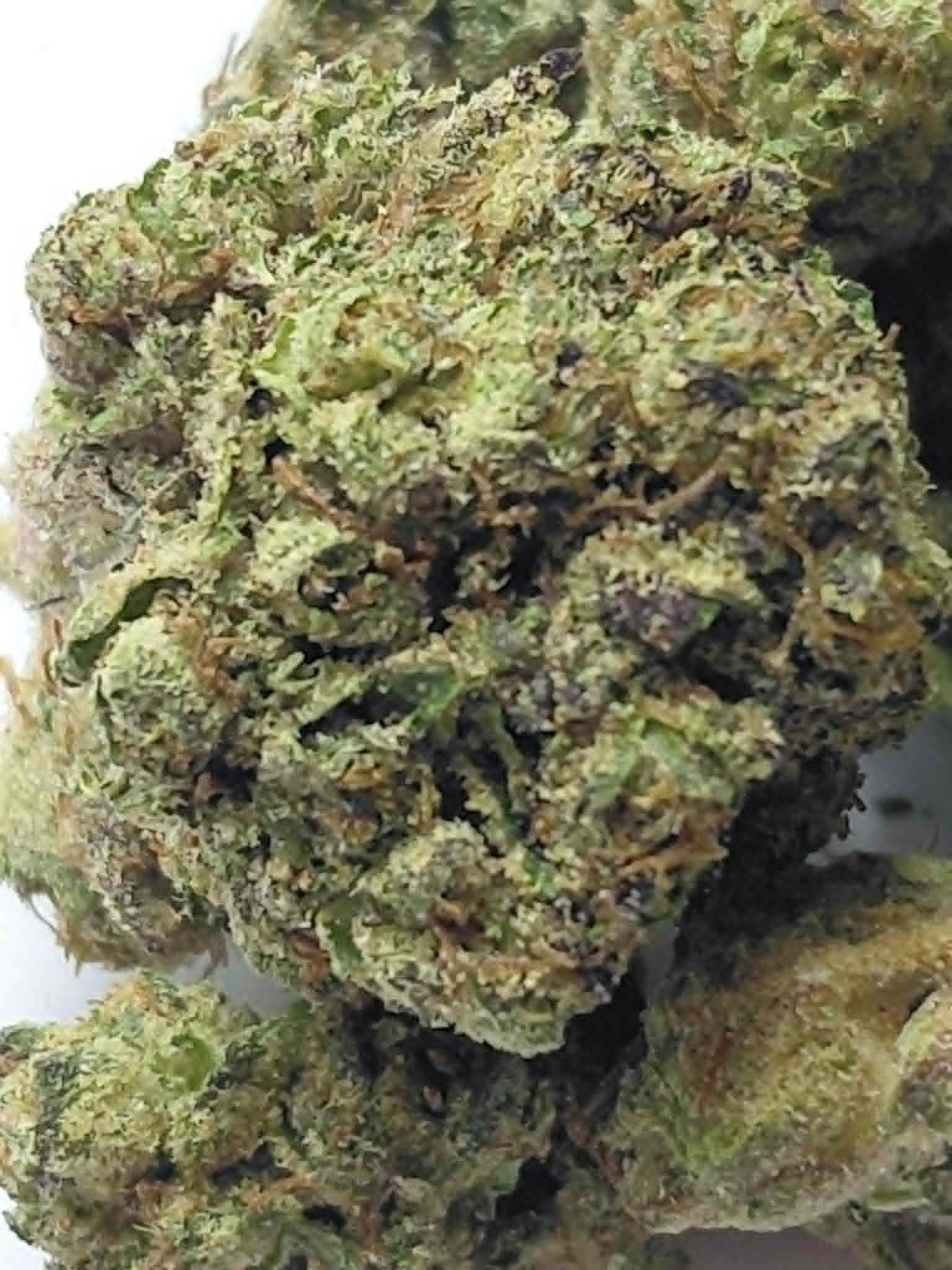 Grape Gelato THCA Flower