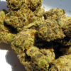 Grape-Sorbet-1.webp Grape Sorbet THCA Flower
