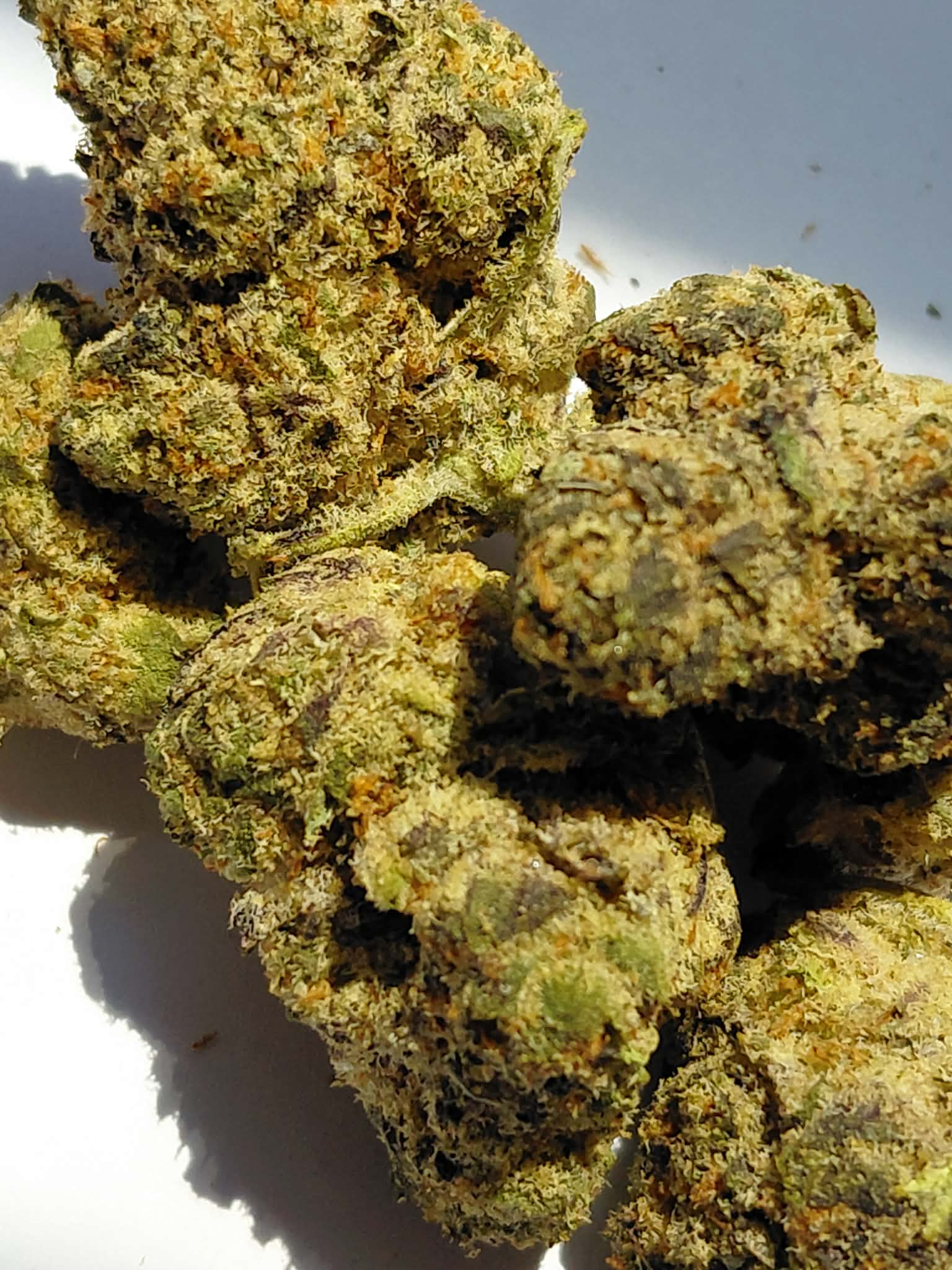 Grape-Sorbet-1.webp Grape Sorbet THCA Flower