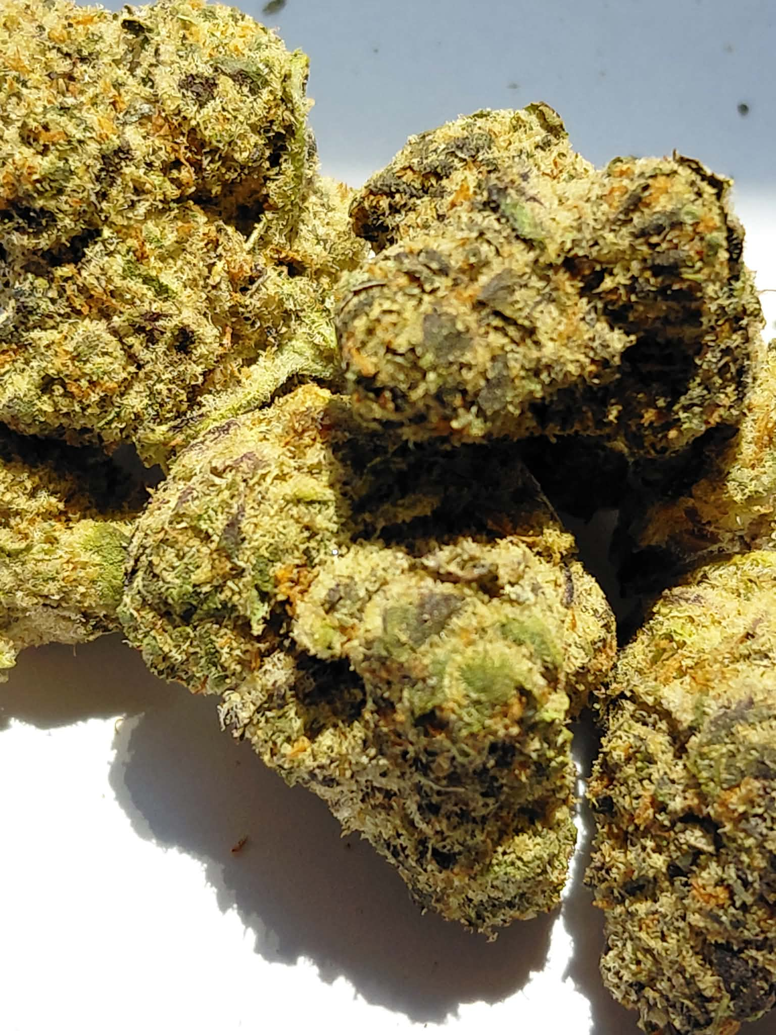 Grape-Sorbet-2.webp Grape Sorbet THCA Flower