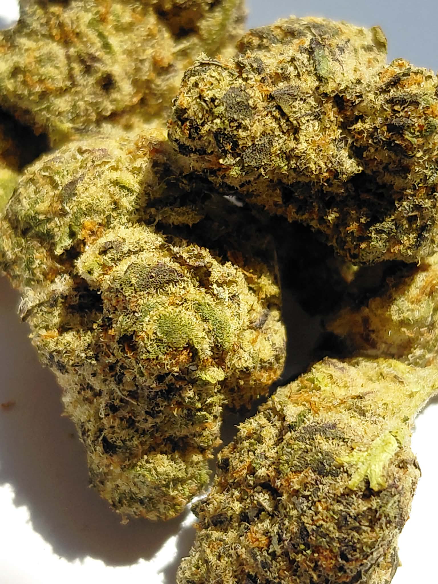 Grape Sorbet (3) Grape Sorbet THCA Flower