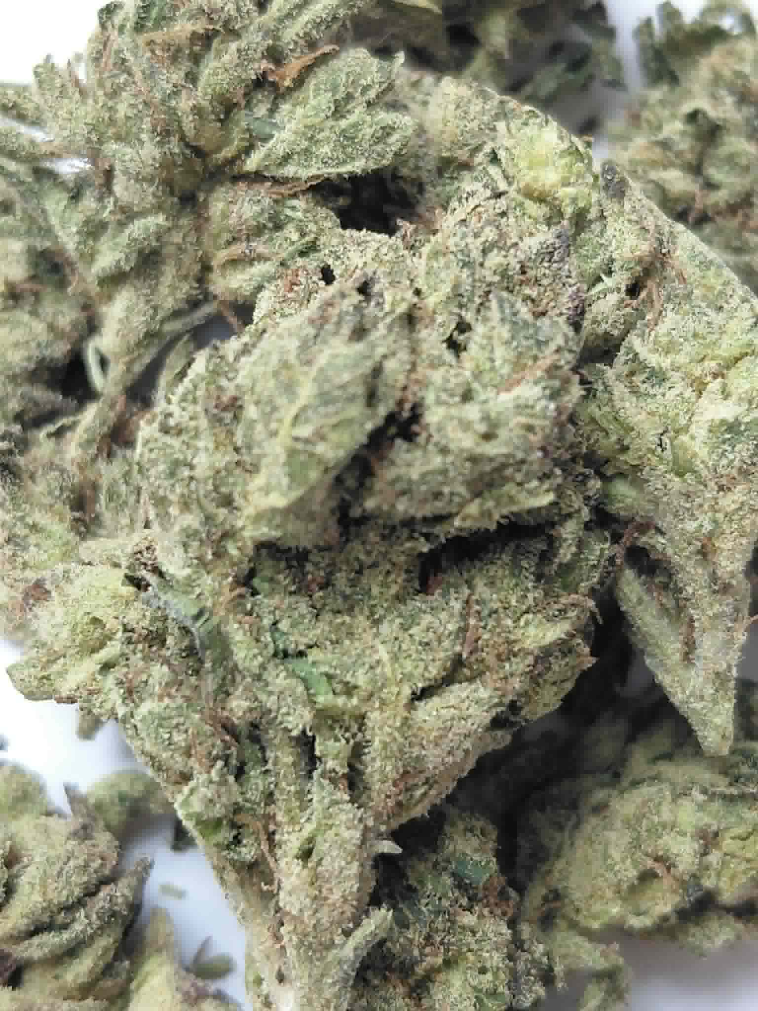 Jokerz Candy THCA Flower