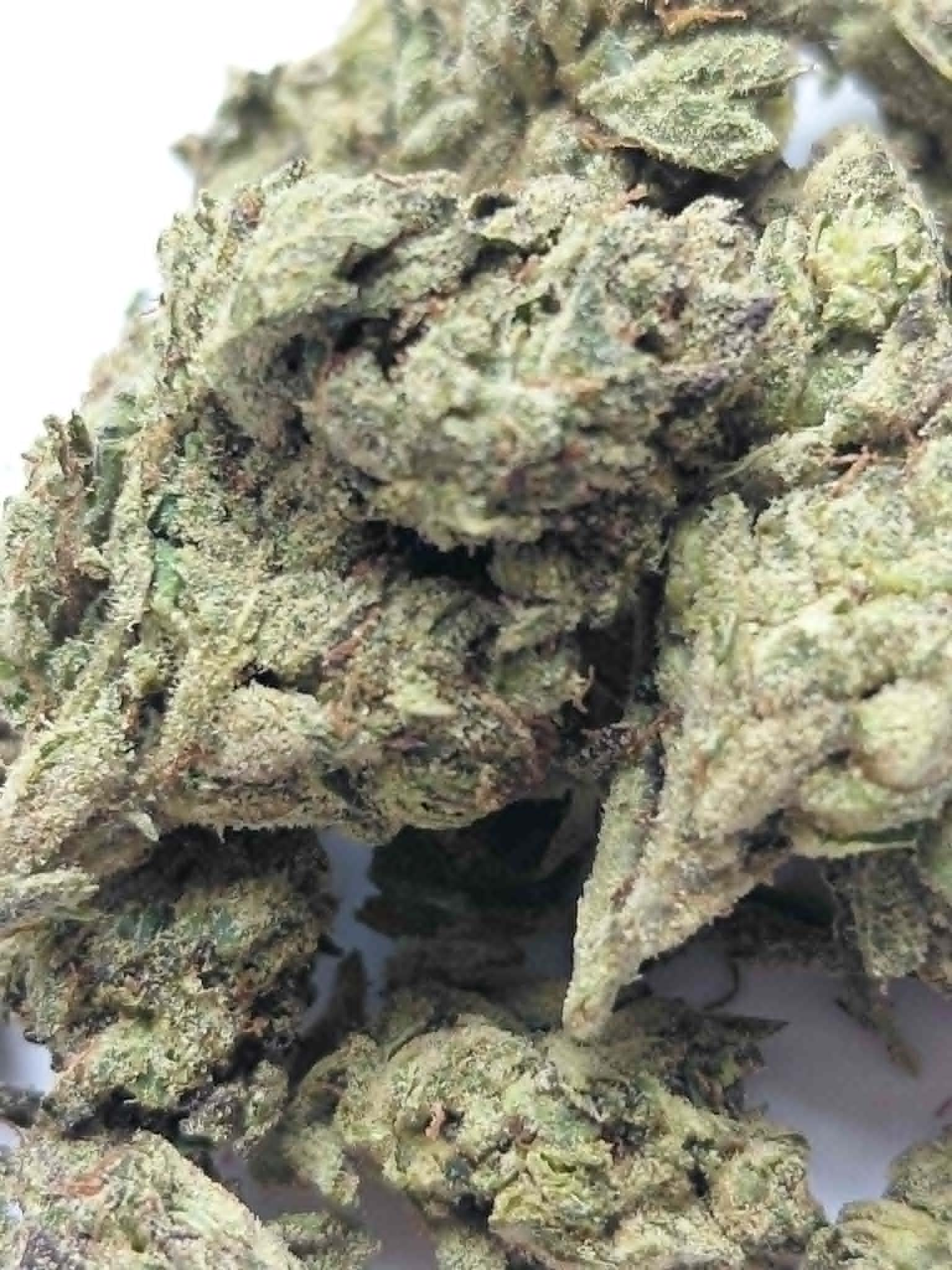 Jokerz Candy THCA Flower