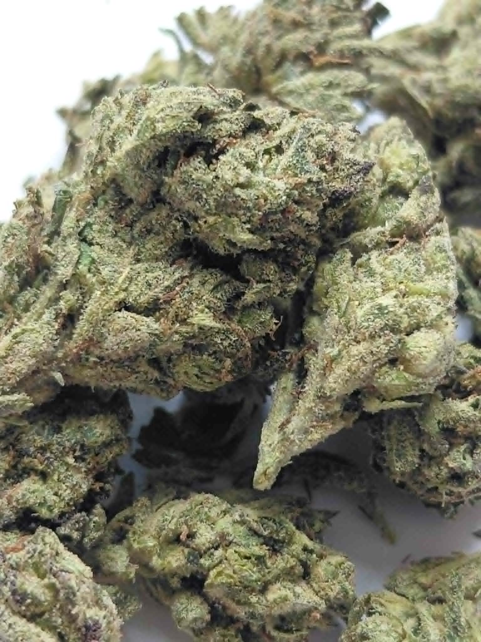 Jokerz Candy THCA Flower