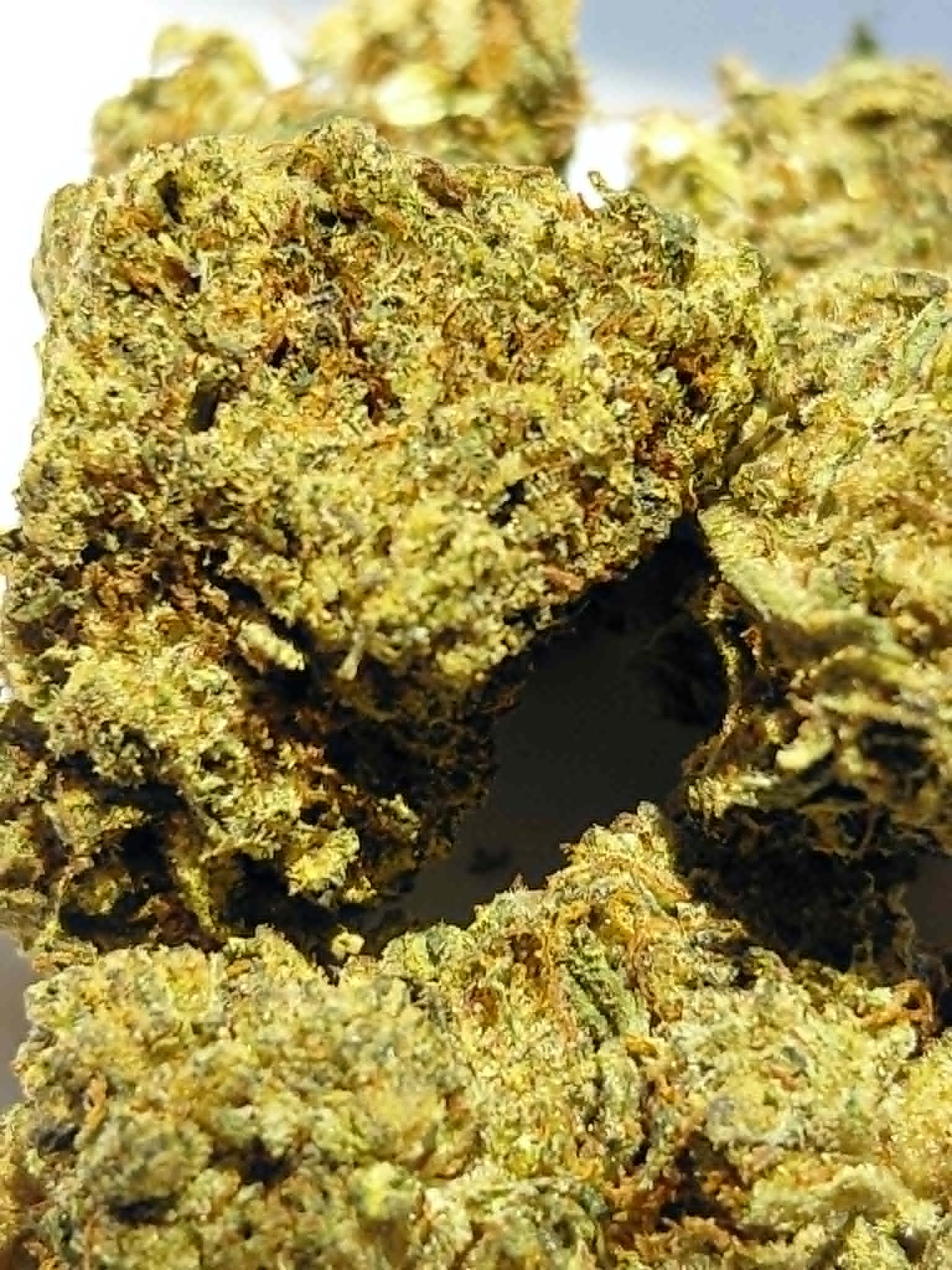 Mizer Crisis THCA Flower