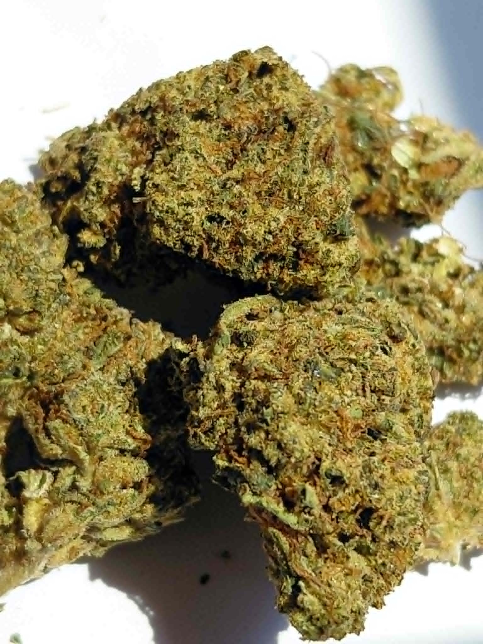 Mizer Crisis THCA Flower