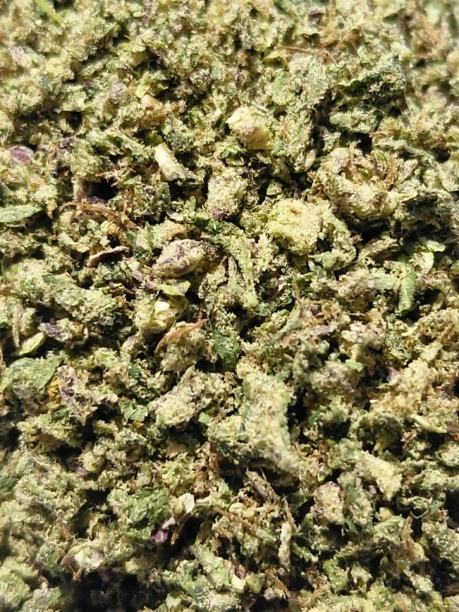 Northern Lights Ground pics (1) Northern Lights THCA Shake/Ground Flower