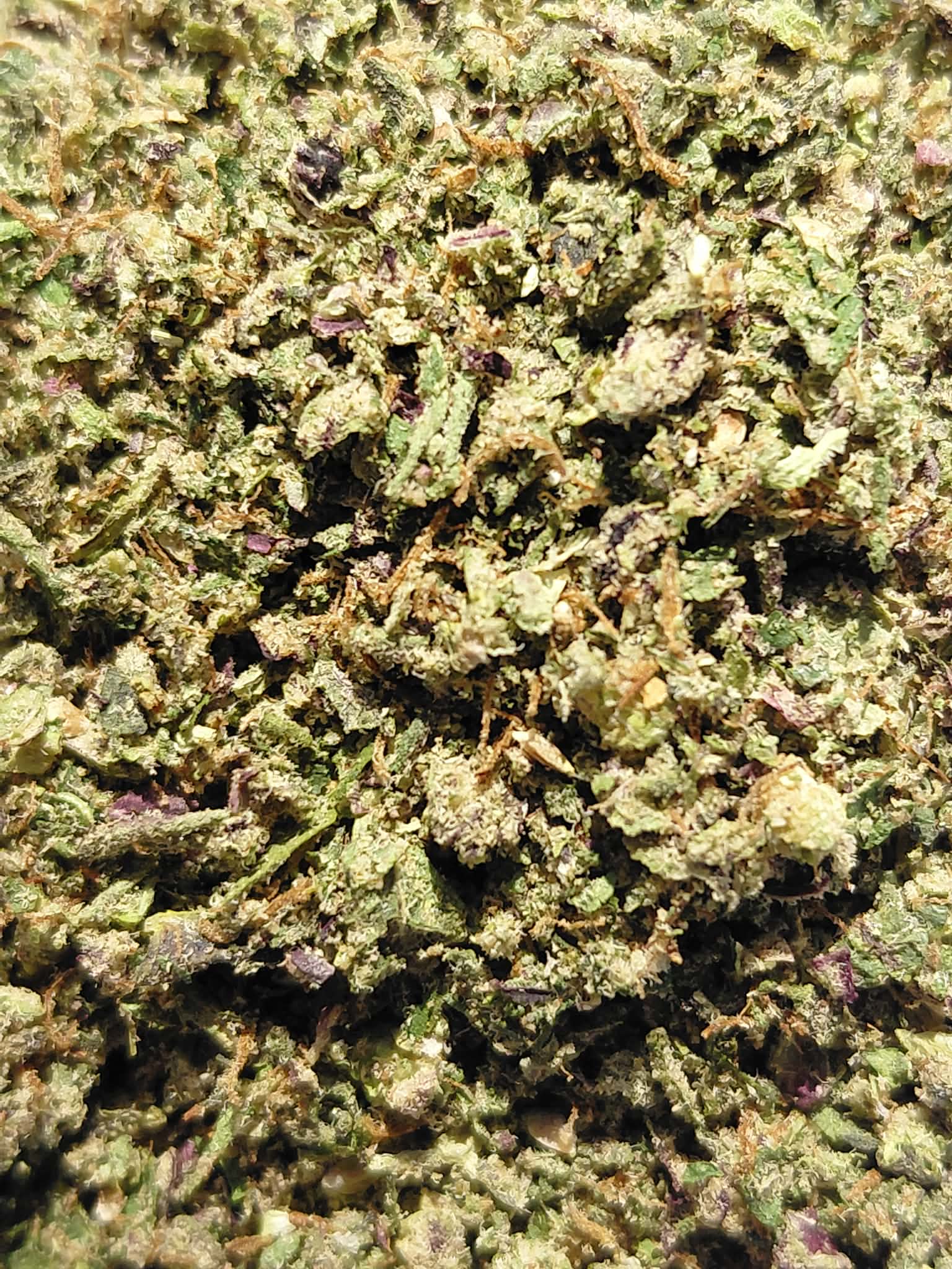 Super Runtz THCA Flower Ground / Shake