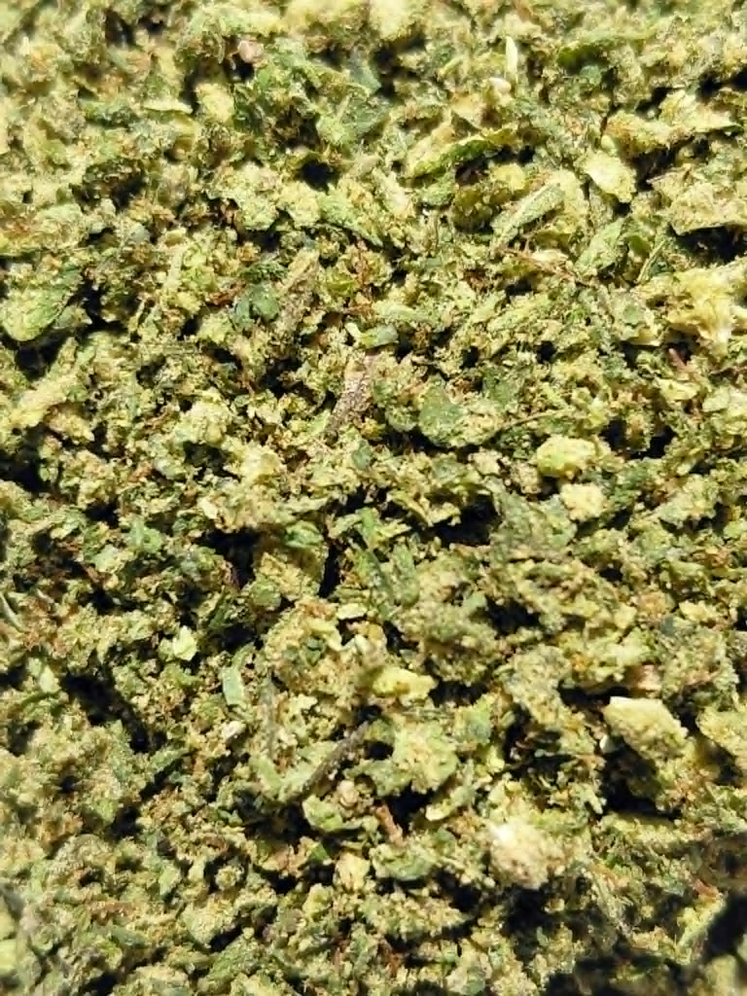 Tangie-ground-flower-2.webp Tangie THCA Flower Ground/Shake