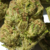 Watermelon-Z-pics-1.webp Watermelon Z THCA Flower