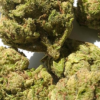 Watermelon-Z-pics-3.webp Watermelon Z THCA Flower