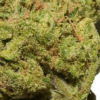 Watermelon Z pics (4) Watermelon Z THCA Flower
