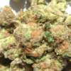 White-Russian-Pics-3.webp White Russian THCA Flower