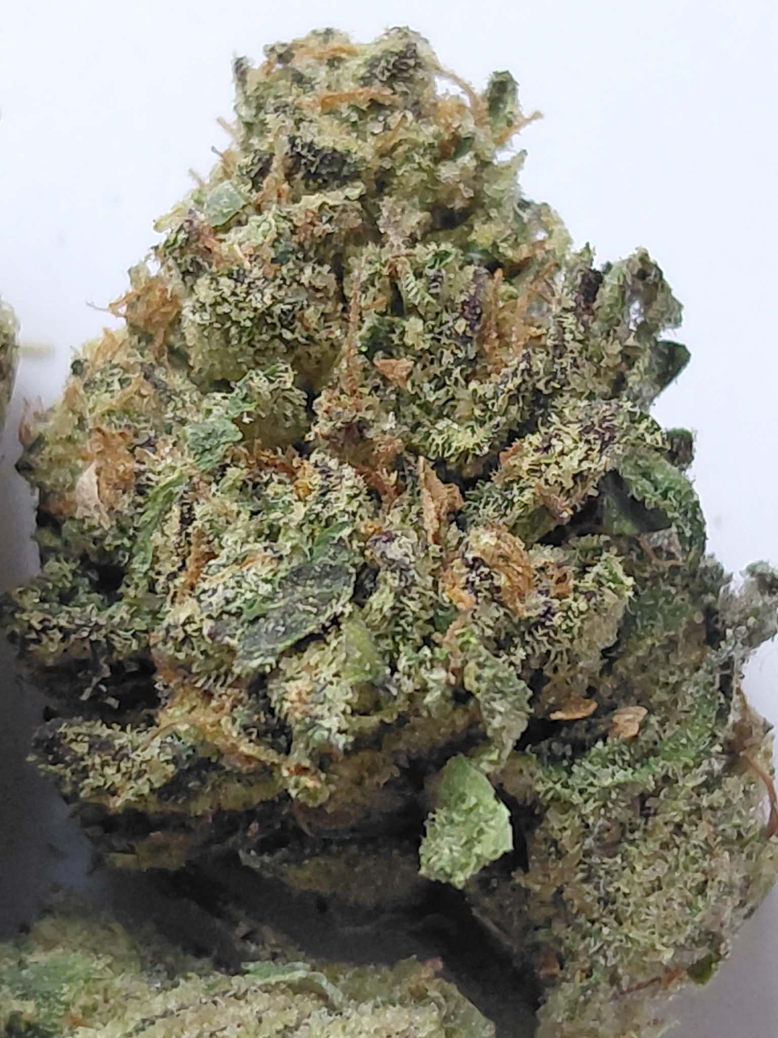 Wonderbread-pics-1.webp Wonderbread THCA Flower