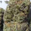 Wonderbread-pics-2.webp Wonderbread THCA Flower