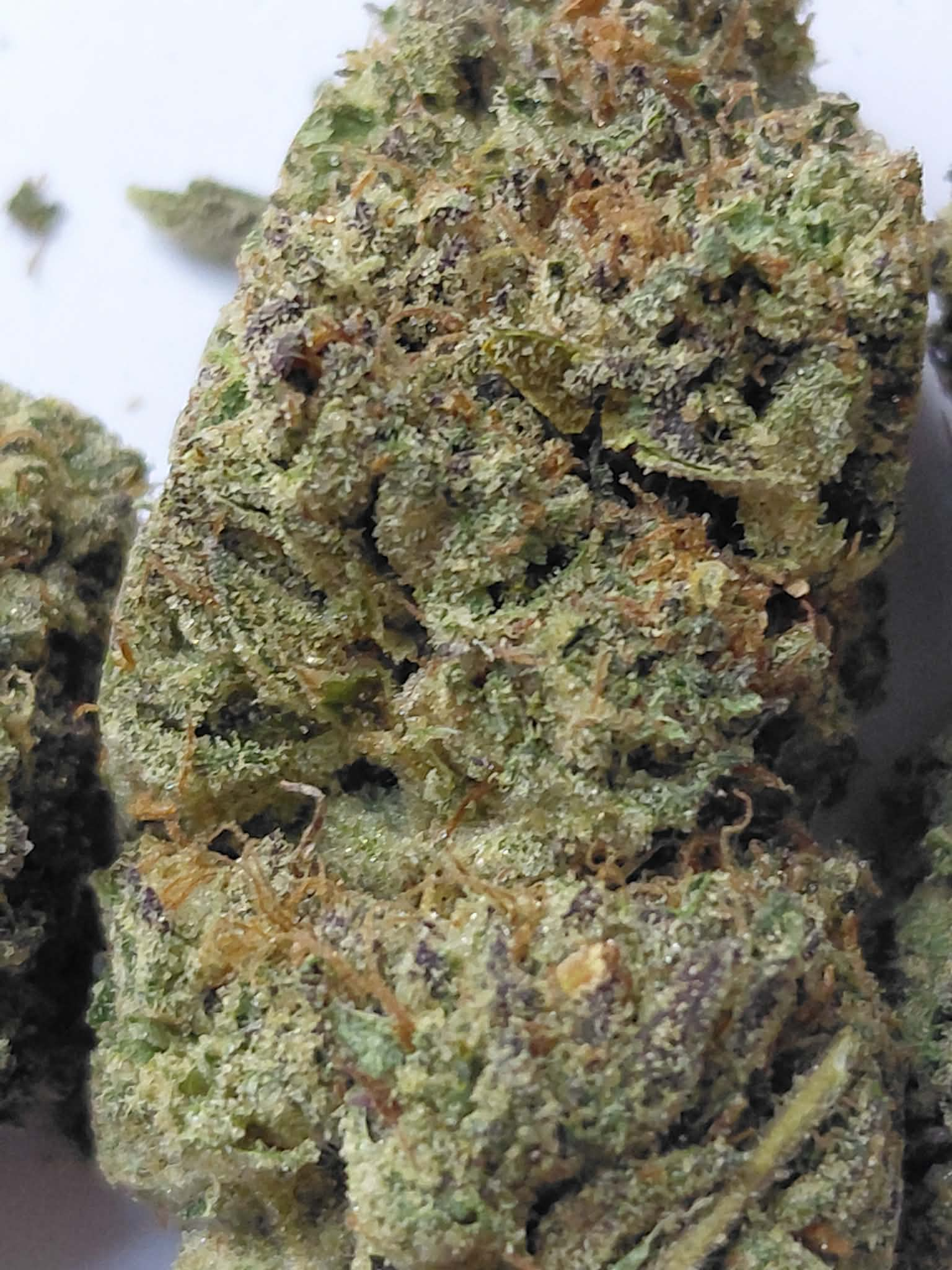 Wonderbread-pics-2.webp Wonderbread THCA Flower