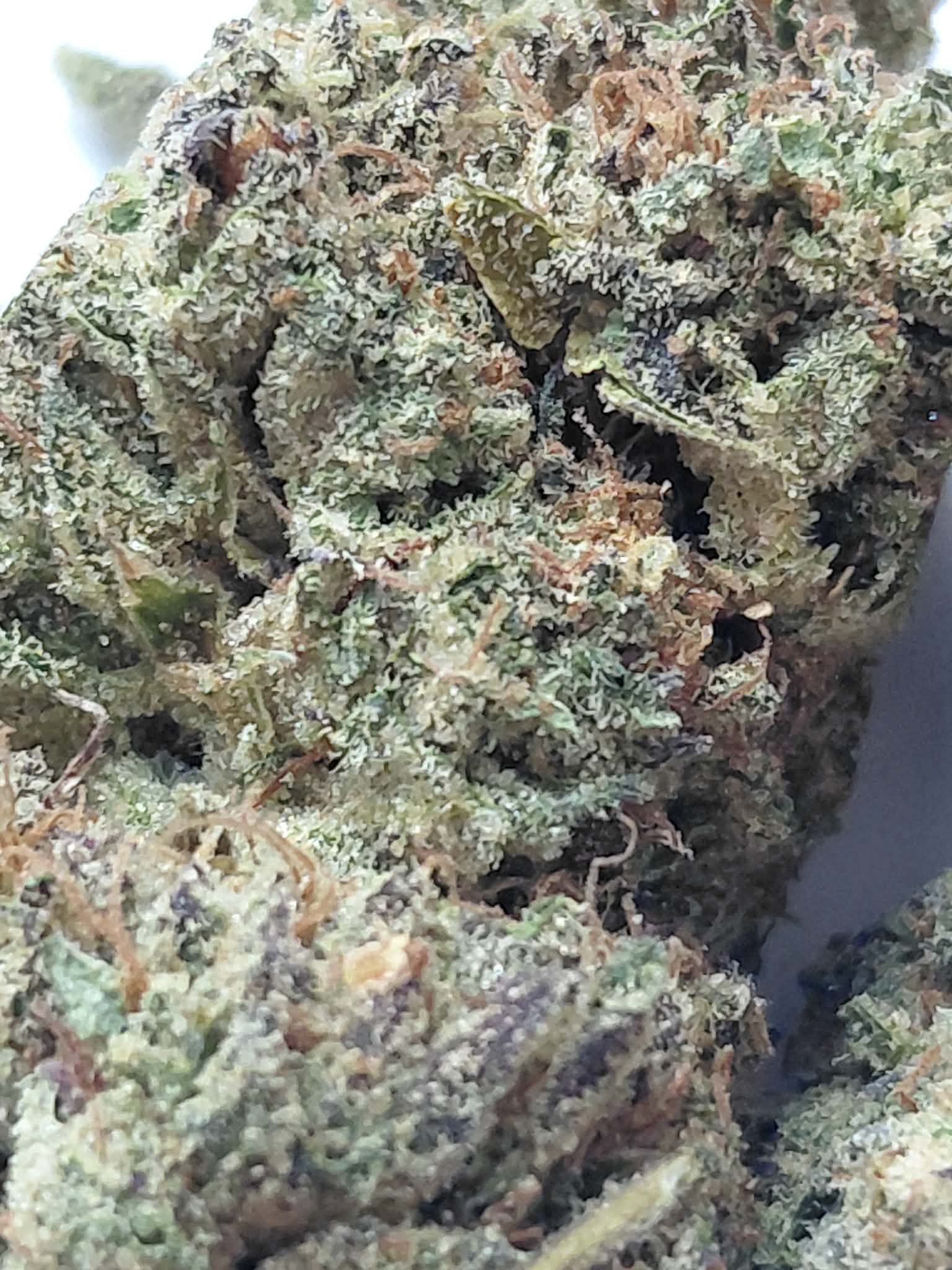 Wonderbread pics (3) Wonderbread THCA Flower