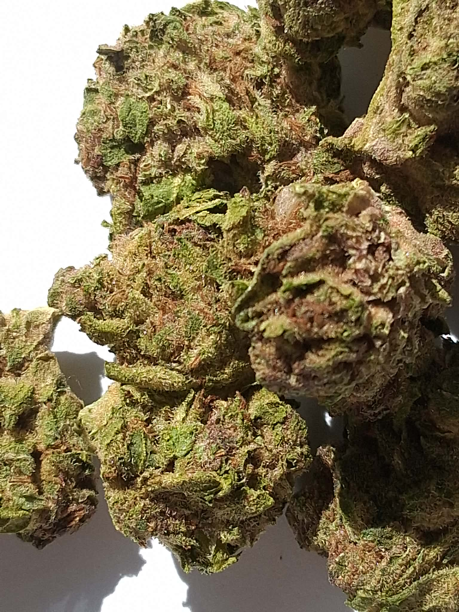 c004a179-a116-45ec-8994-8951d9fbab52.webp Trap Cherry THCA Flower