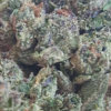 Black-Cherry-Soda-Pics-1.webp Black Cherry Soda THCA Flower