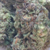 Black Cherry Soda Pics (2) Black Cherry Soda THCA Flower