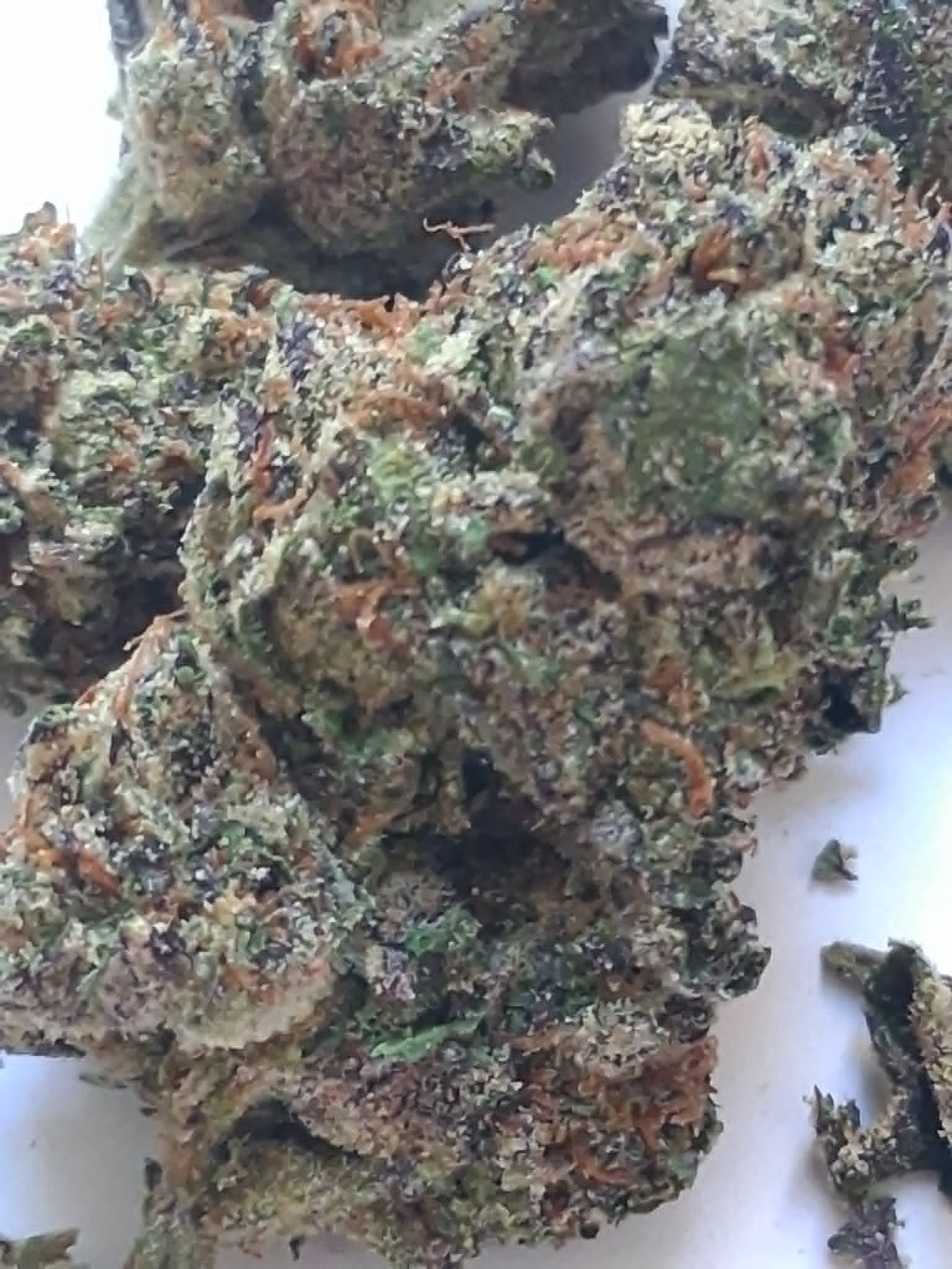 Cereal-Milk-Pics-1.webp Cereal Milk THCA Flower