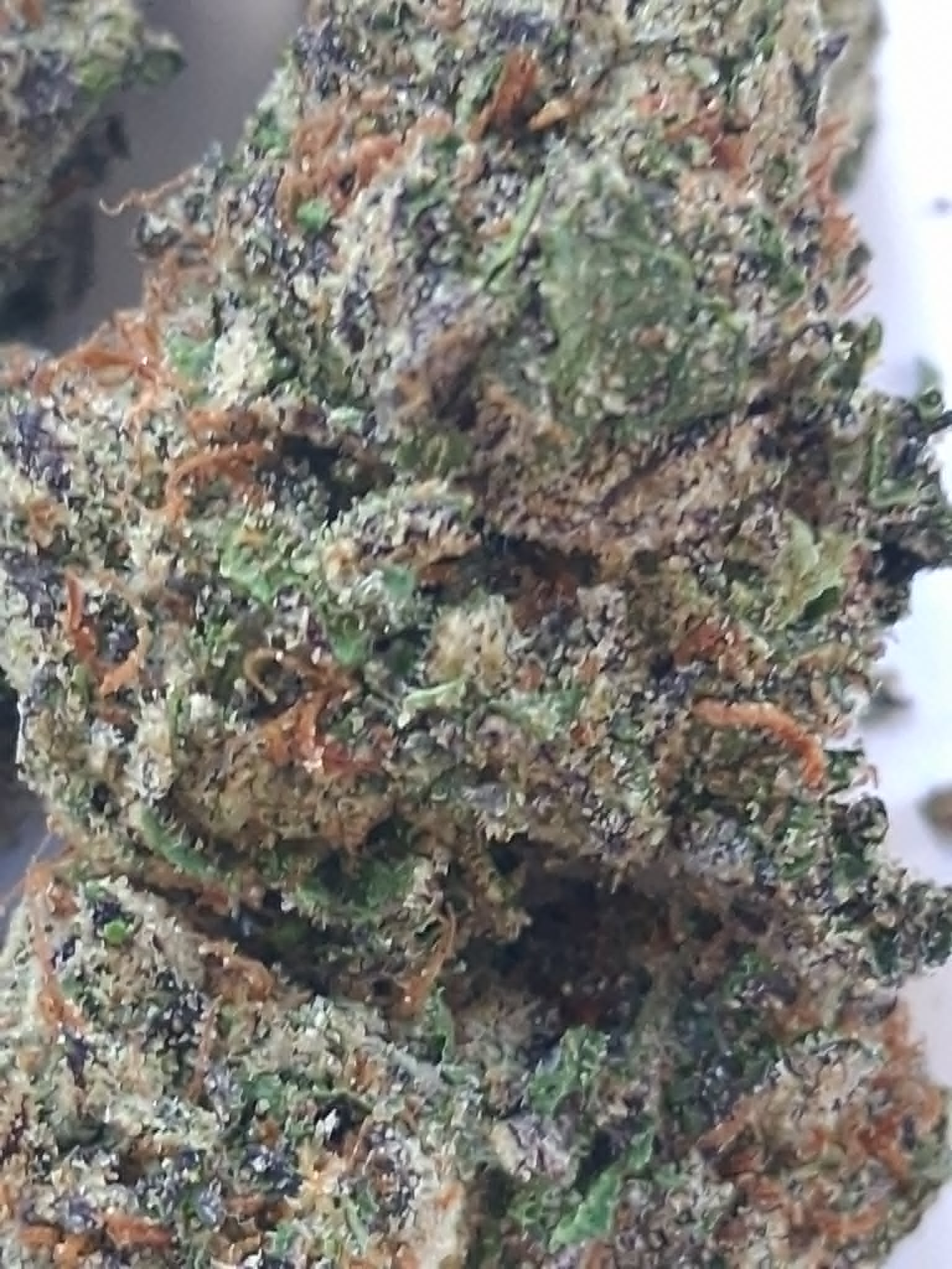 Cereal Milk Pics (2) Cereal Milk THCA Flower