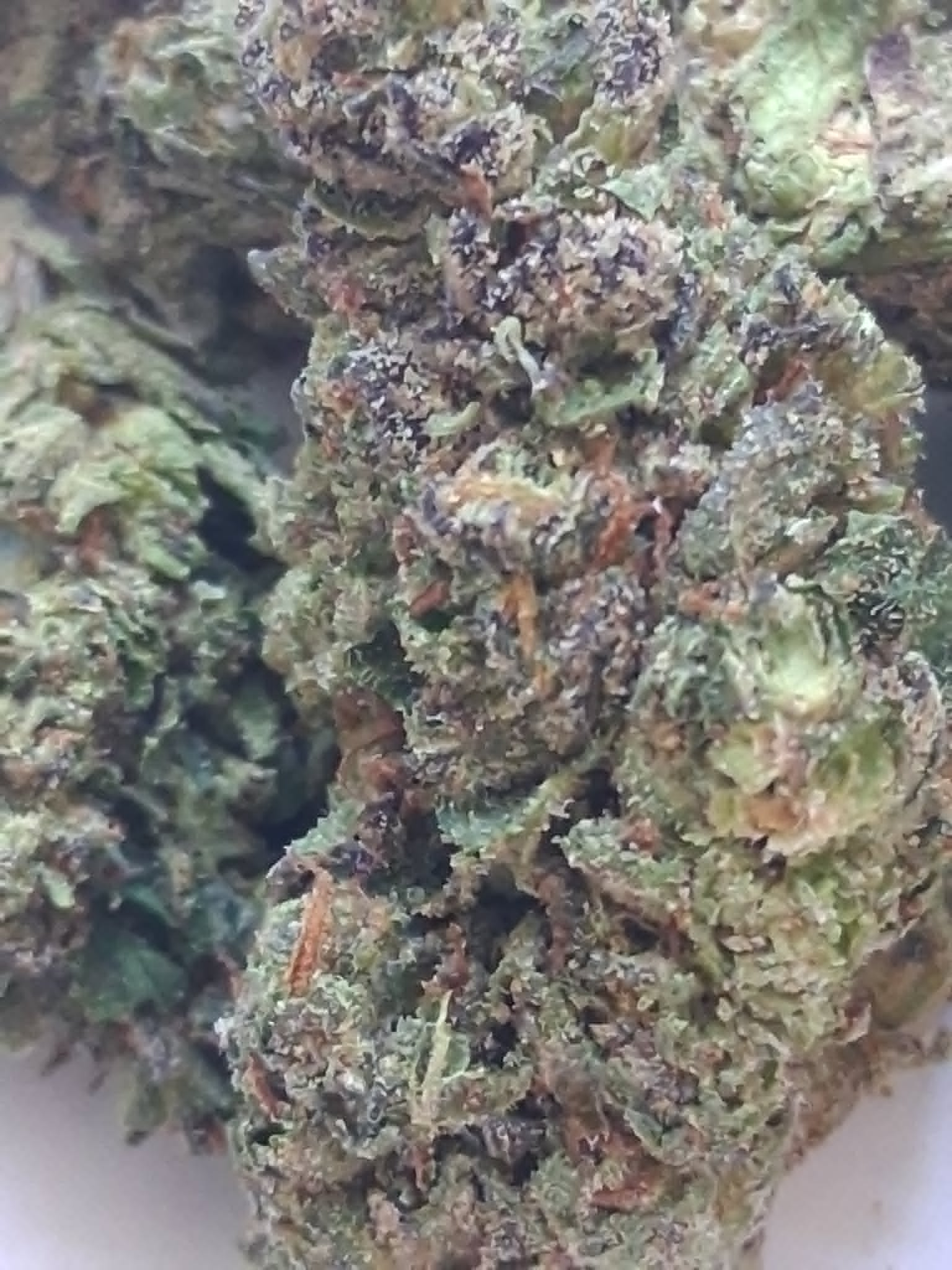 Tropicana-Cherry-Cookies-pics-3.webp Tropicana Cherry Cookies THCA Flower