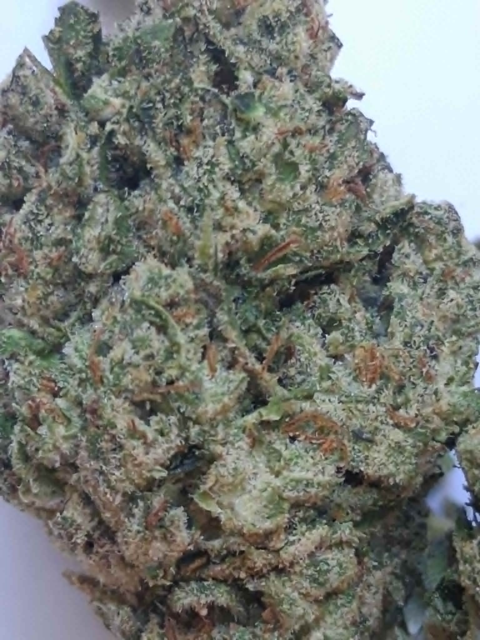 melon-haze-pics-1.webp Melon Haze THCA Flower