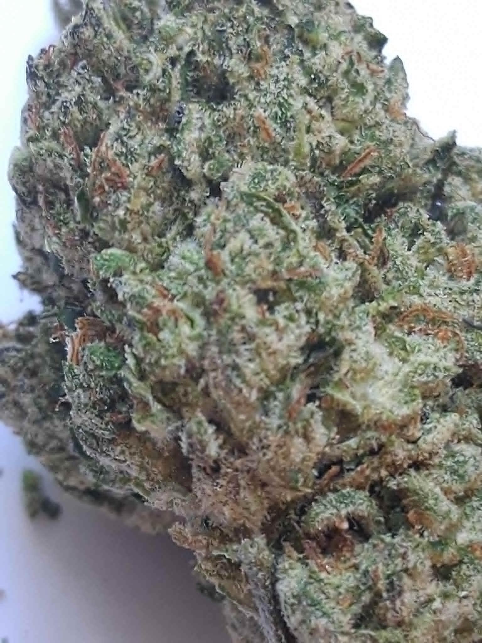 melon haze pics (2) Melon Haze THCA Flower