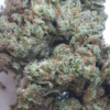 melon-haze-pics-3.webp Melon Haze THCA Flower